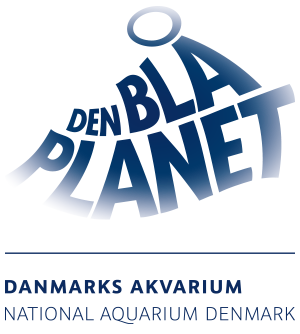 DBP_Logotype_Blaa